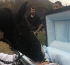 At-the-funeral-the-horse-bids-his-owner-who-never-gave-up-on-him-a-final-goodbye-II